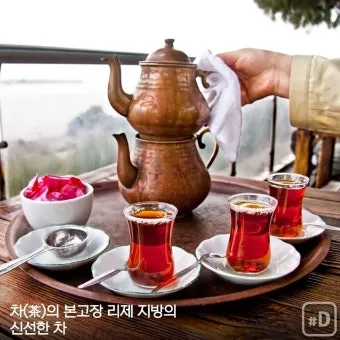 세계 3대 미식 국가 음식 문화와 대표 요리 정리_19