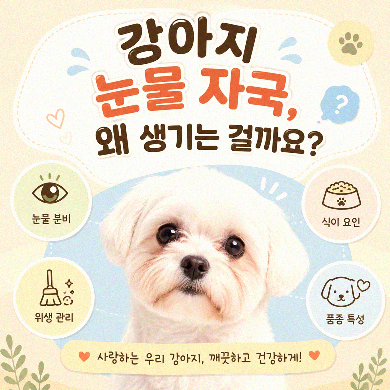 우리 강아지 눈물 자국, 어떻게 관리하나요?