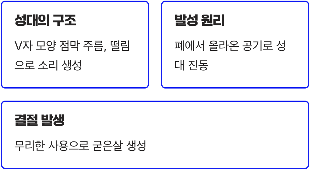 내 목소리는 어떻게 만들어질까?