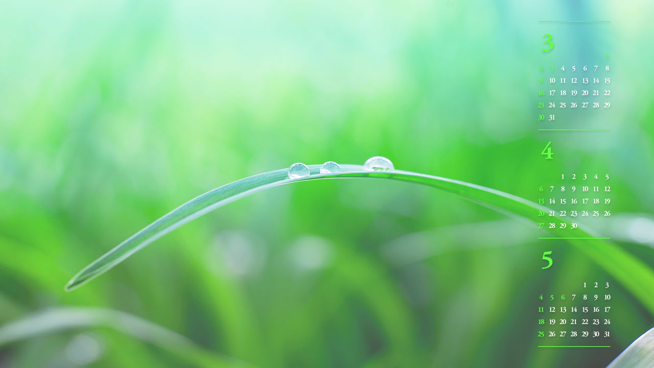 01 풀잎에 맺힌 물방울 B - 2025년4월 노트북배경화면