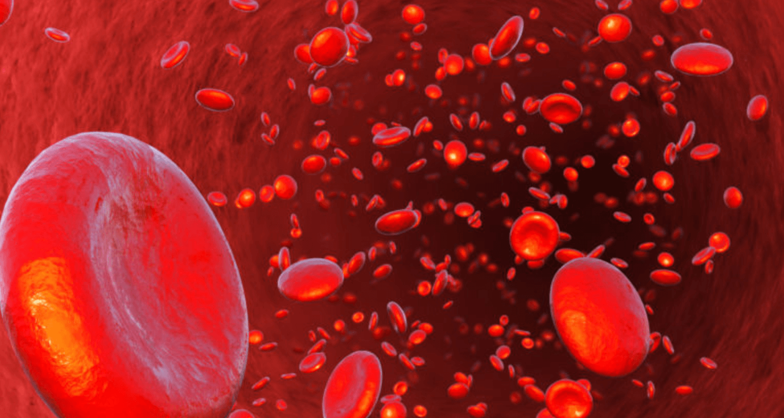 공복혈당 정상수치