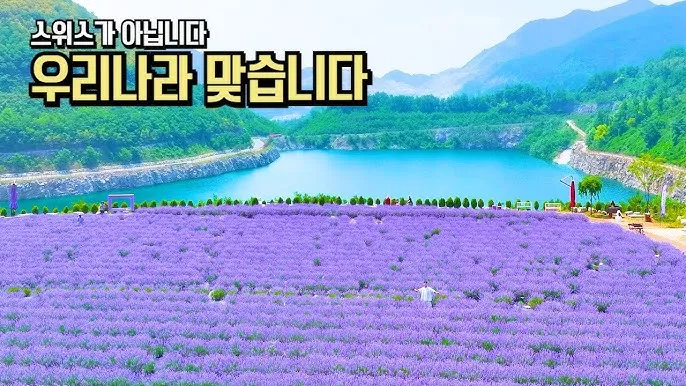 5월부터 6월 여행지 추천 덥기 전에 꼭 가야 할 최고의 힐링 명소 8곳_7