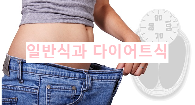 일반식과 다이어트식