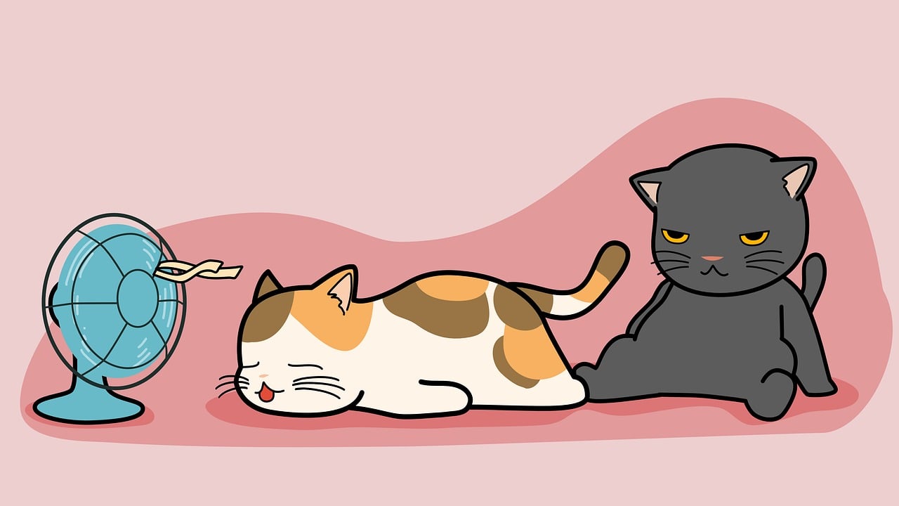 웹툰 만화가 관련사진