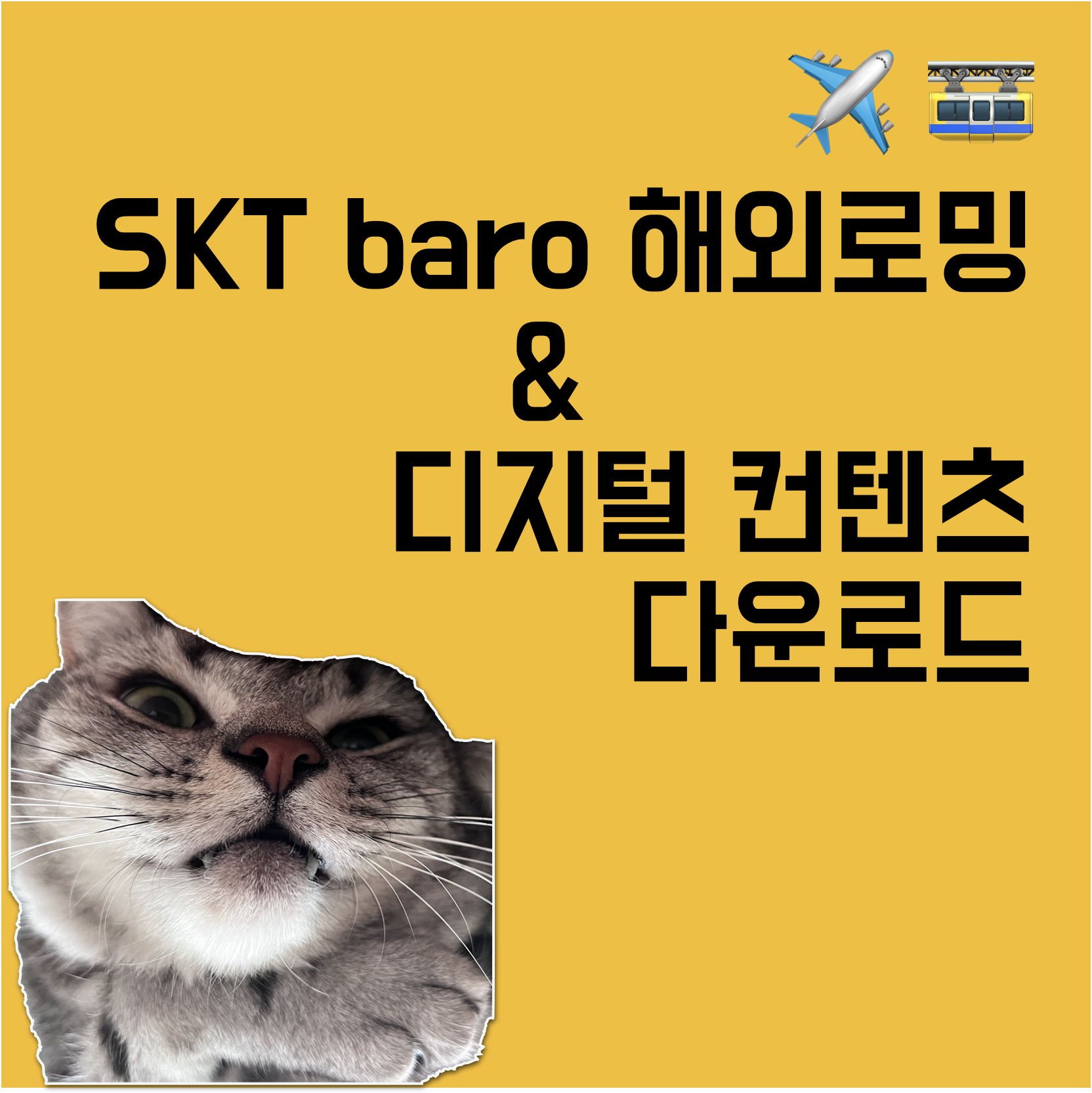 해외여행 인터넷 사용 준비 (SKT 해외로밍 baro, 구글맵, 넷플릭스, e북)