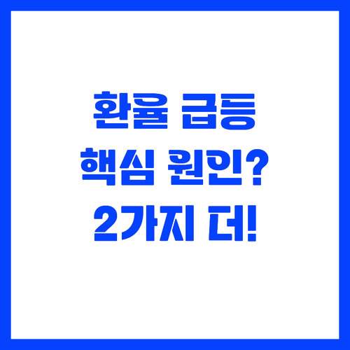 원달러환율 급등의 복합적 원인: 금리..