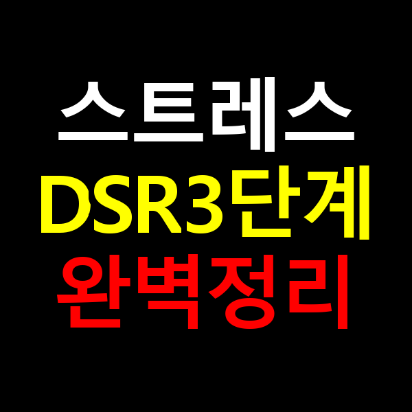 스트레스DSR3단계