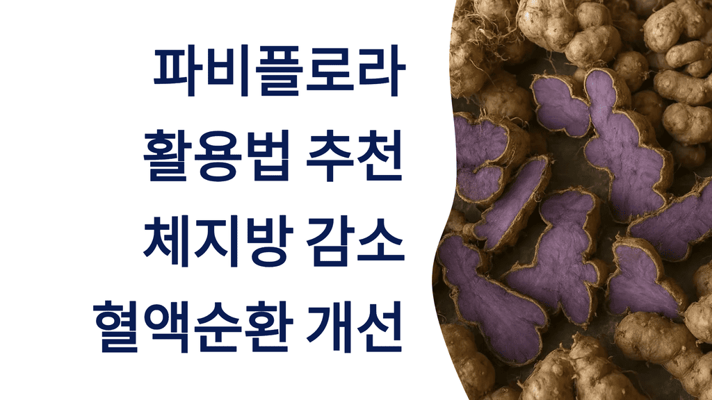 파비플로라 활용법 꿀팁: 체지방 감소, 혈액순환 개선까지!