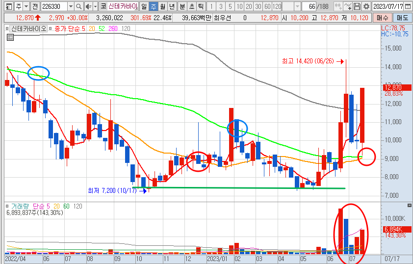 7월 21일 신테카바이오 주가 주봉 차트 분석
