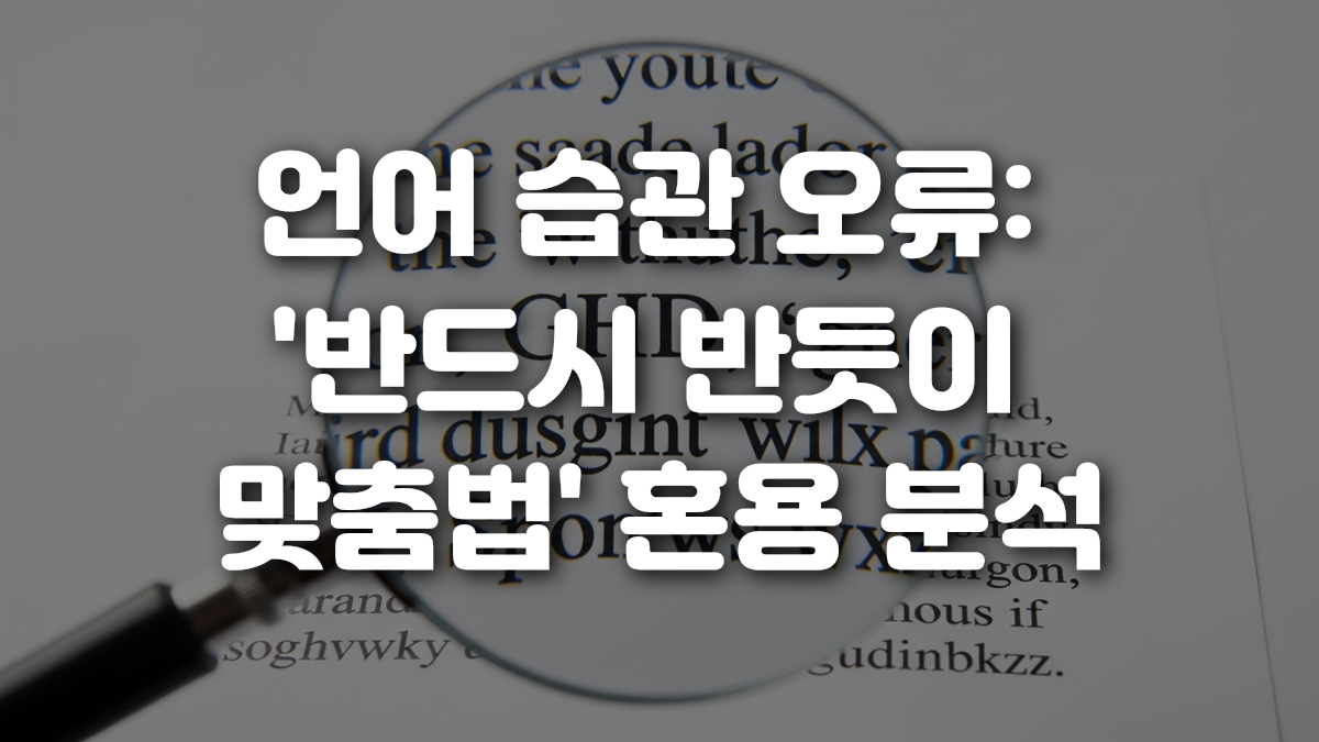 언어 습관 오류 반드시 반듯이 맞춤법 혼용 분석