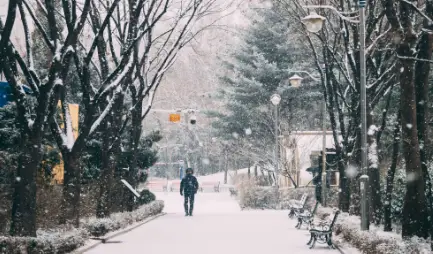 겨울 길거리 사진