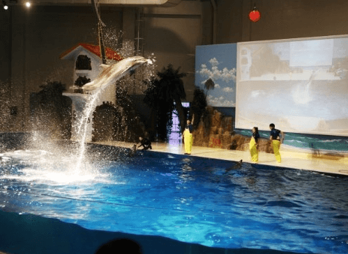 아쿠아플라넷-돌고래공연