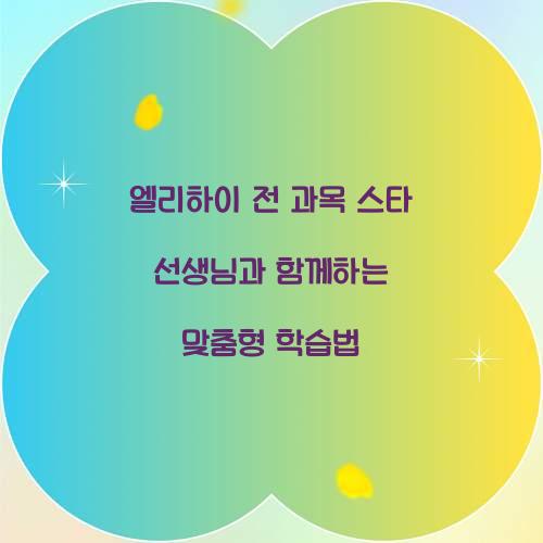 엘리하이 전 과목 스타 선생님