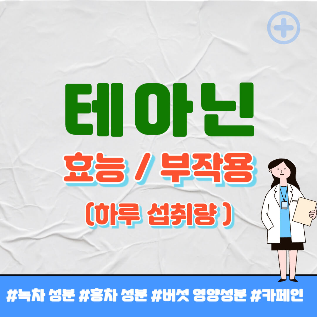 테아닌 효능 썸네일