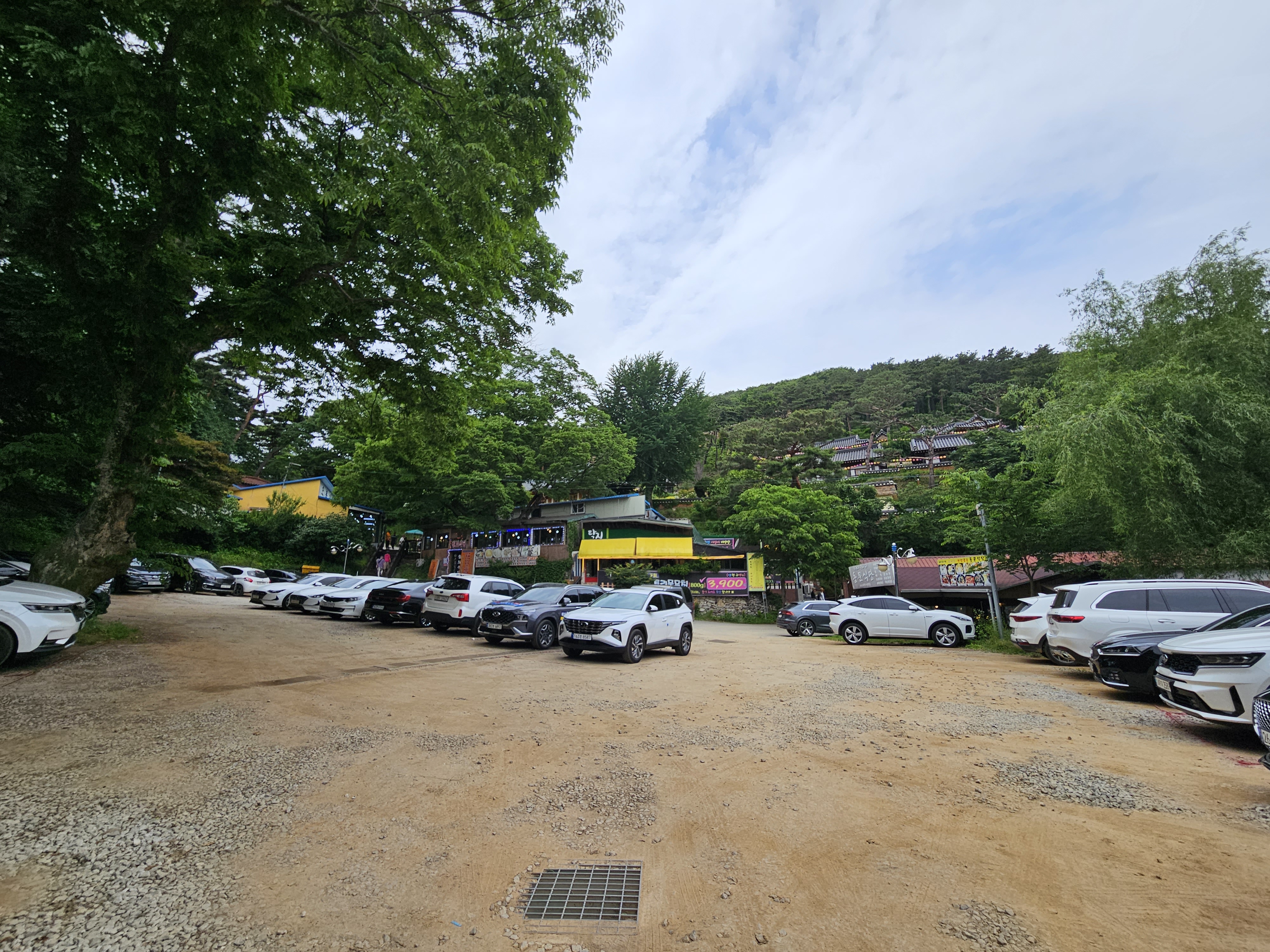 강화도 애견동반 식당 