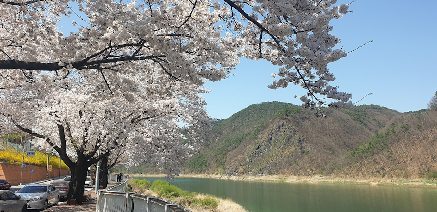 단양 여행의 명소
