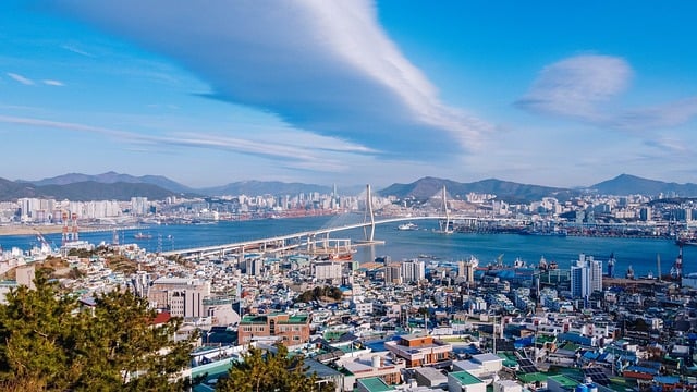 산 정상에 깃발을 꽂는 꿈