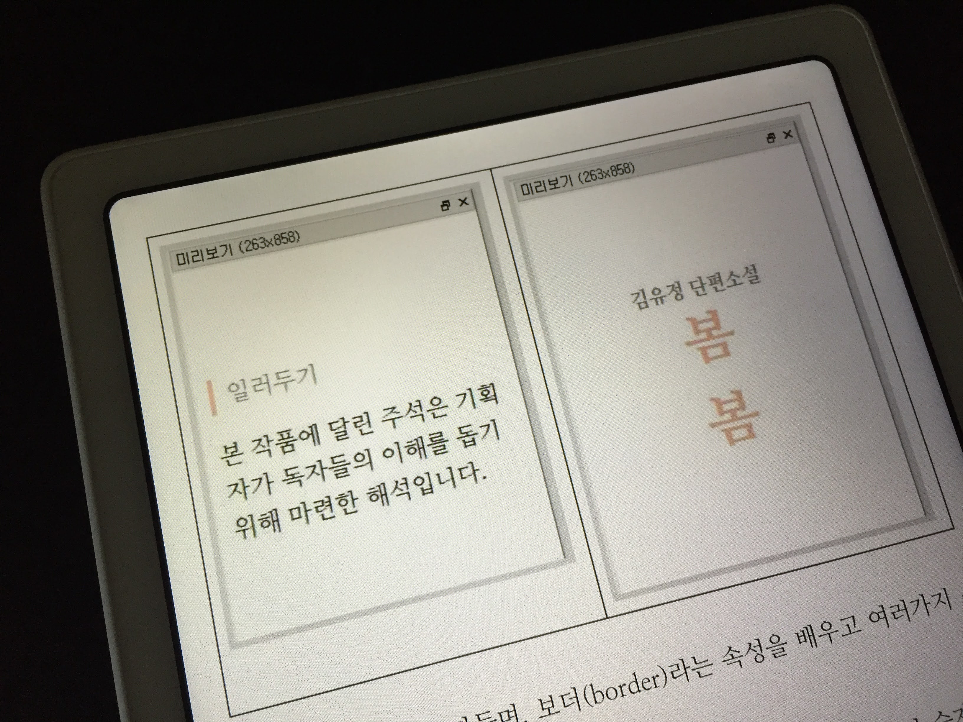 전자책의 일러두기와 본문 전 속지 만들기 공부했습니다