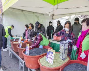 파주 장단콩축제_14