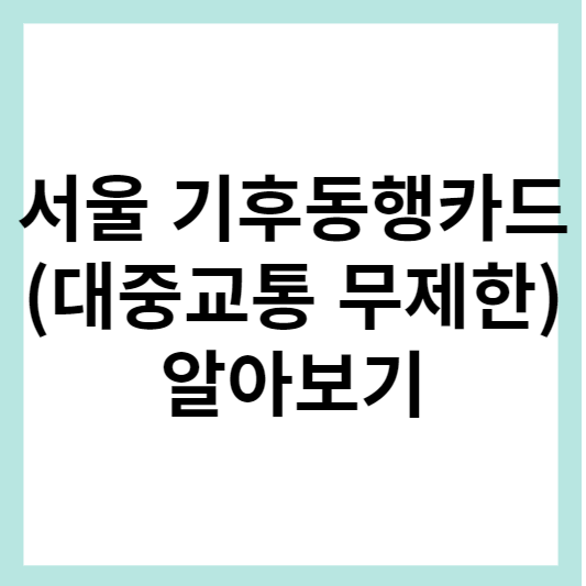 서울 기후동행카드