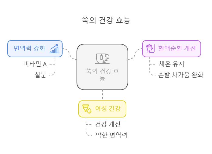 봄철 제철음식 5가지! 지금 먹으면 건강이 달라지는 이유