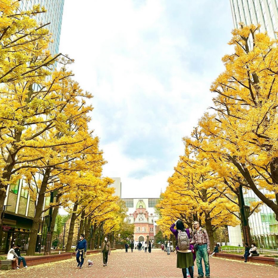 삿포로여행 오도리공원