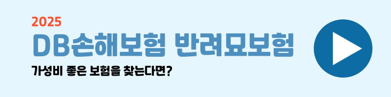 반려묘 보험 비교 설명 이미지