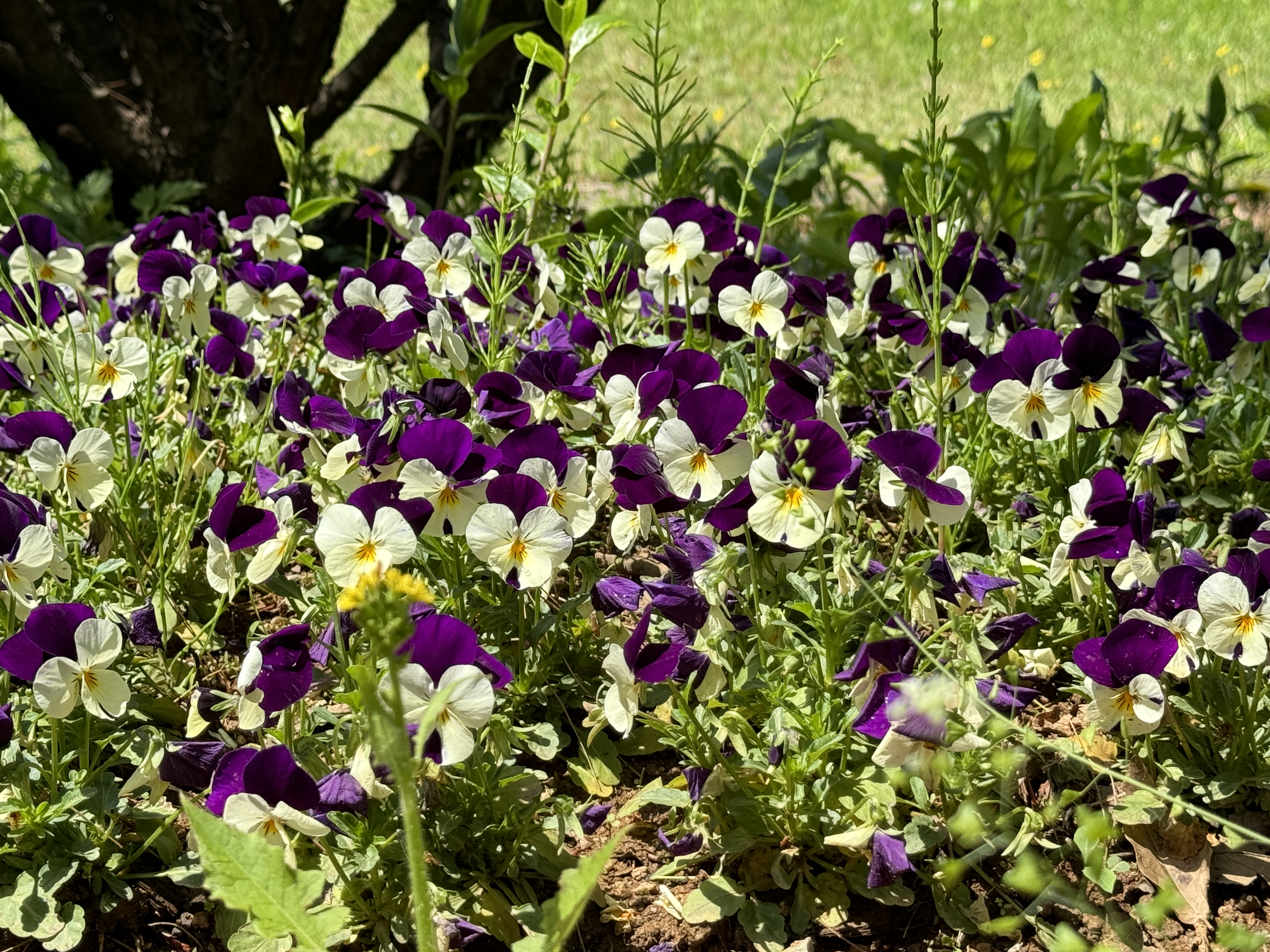 부천자연생태공원