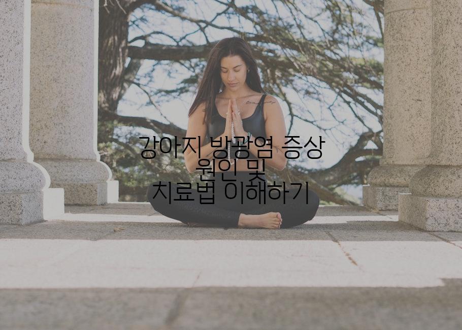 강아지 방광염 증상 원인 및 치료법 이해하기