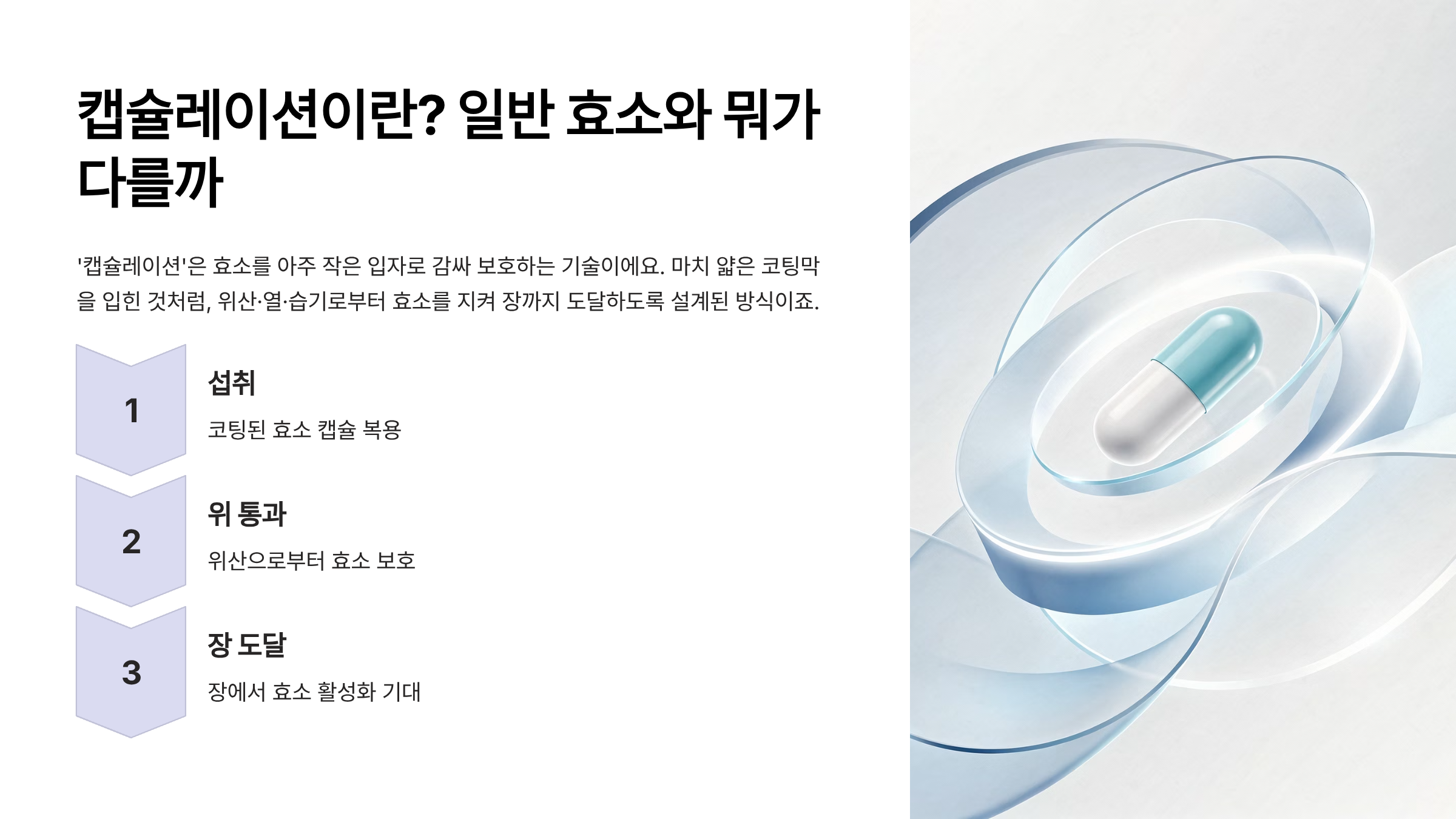 캡슐레이션효소 효능