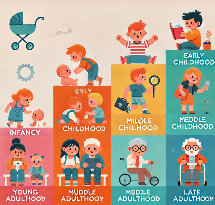 인간발달단계