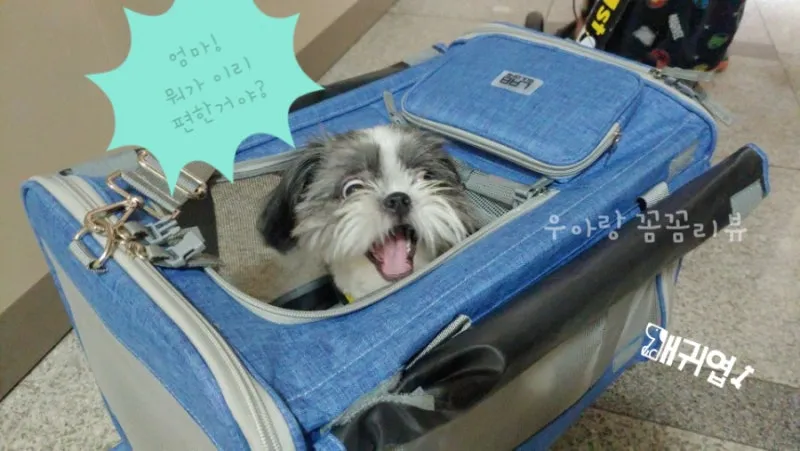 기내 반입 캐리어 사이즈 무게 총정리 완벽 가이드 매뉴얼_6