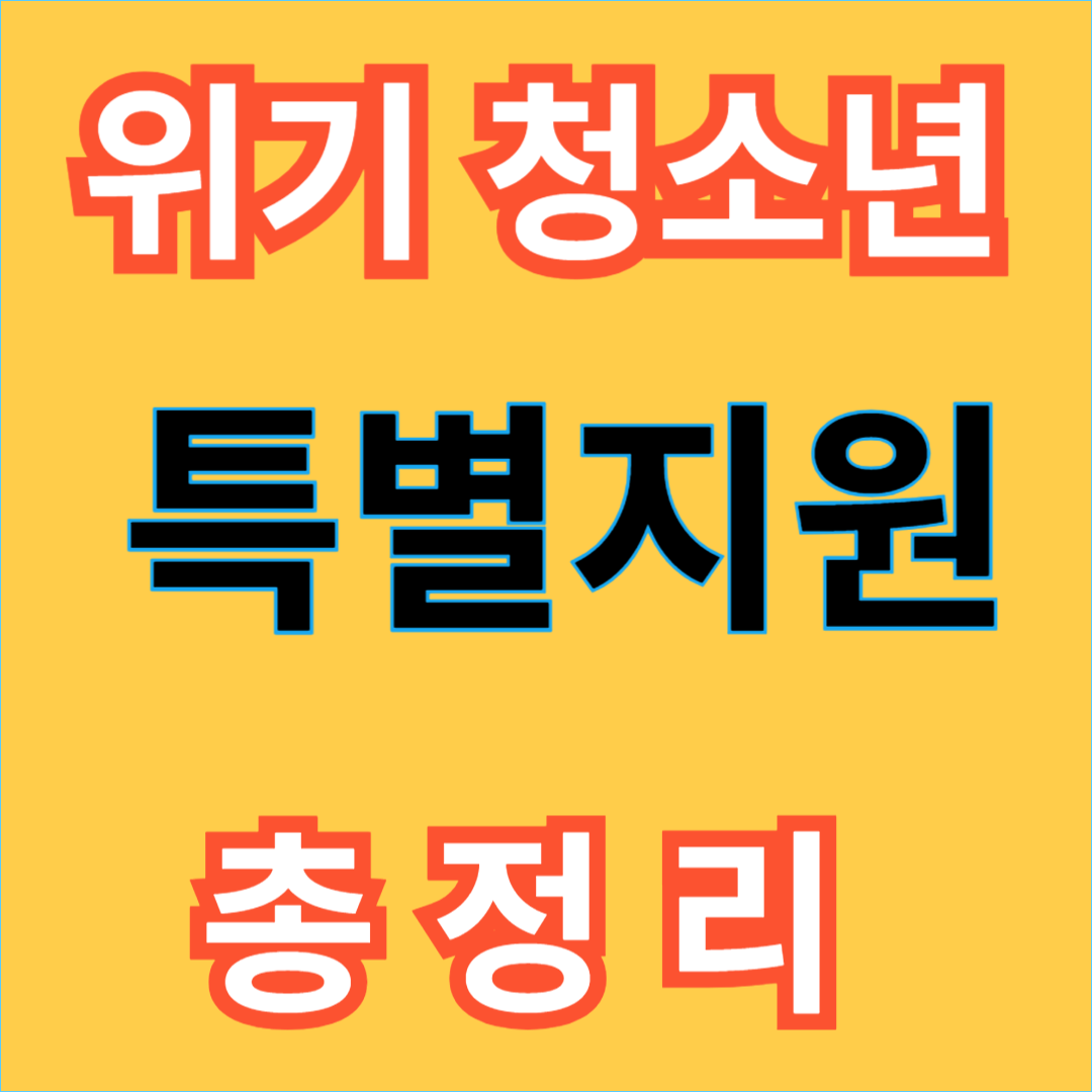 위기 청소년 특별지원