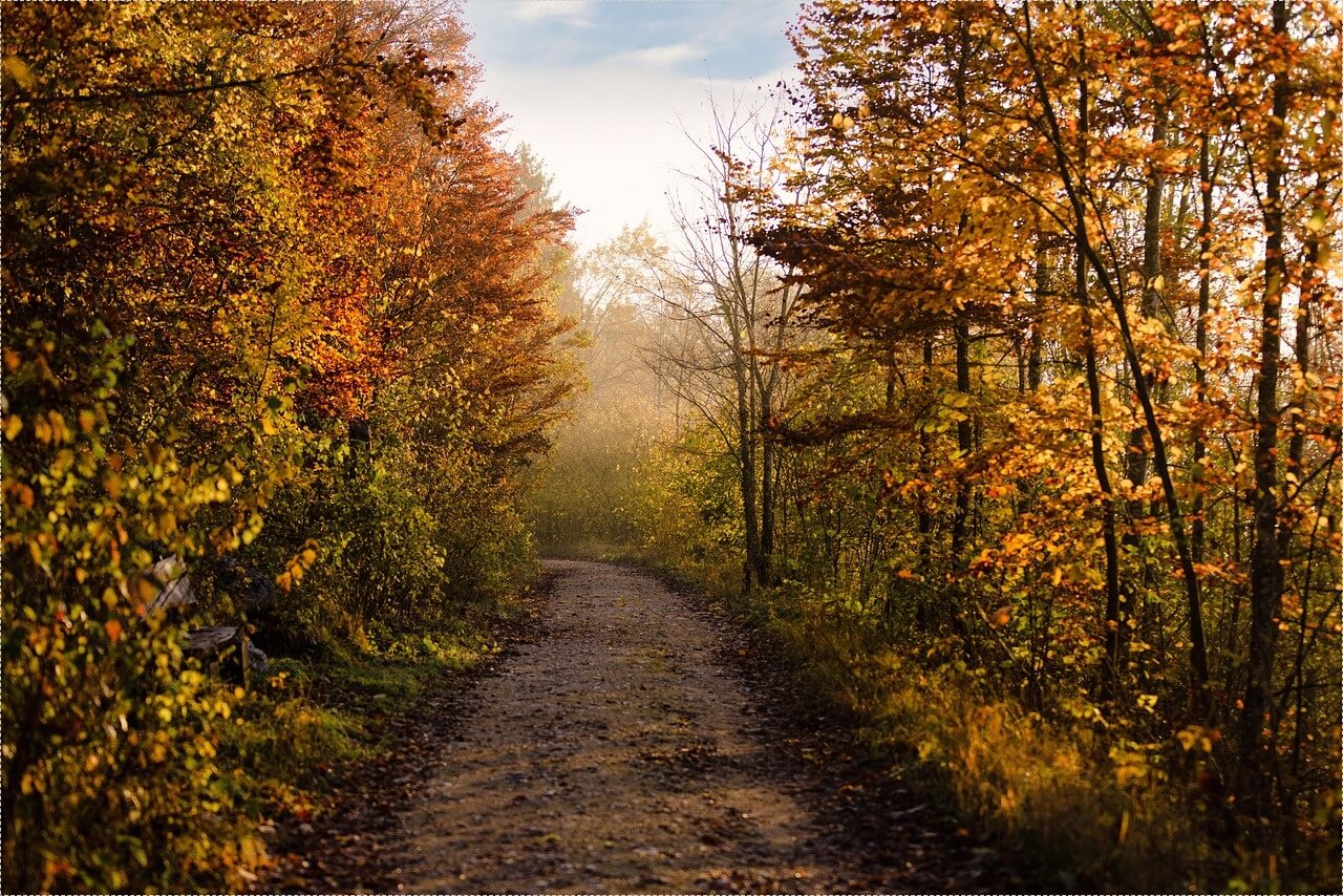 금리 높은 예금