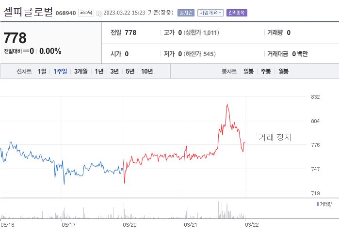 셀피글로벌-차트