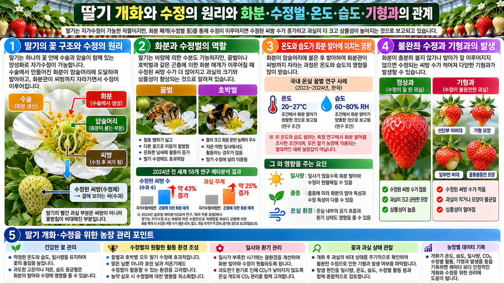 딸기 개화와 수정의 원리와 화분&middot;수정벌&middot;온도&middot;습도&middot;기형과의 관계