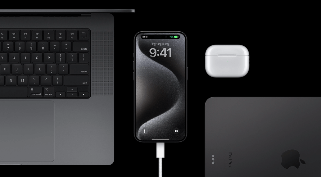 C단자로 연결가능한 맥북, 패드, 아이포드 이미지