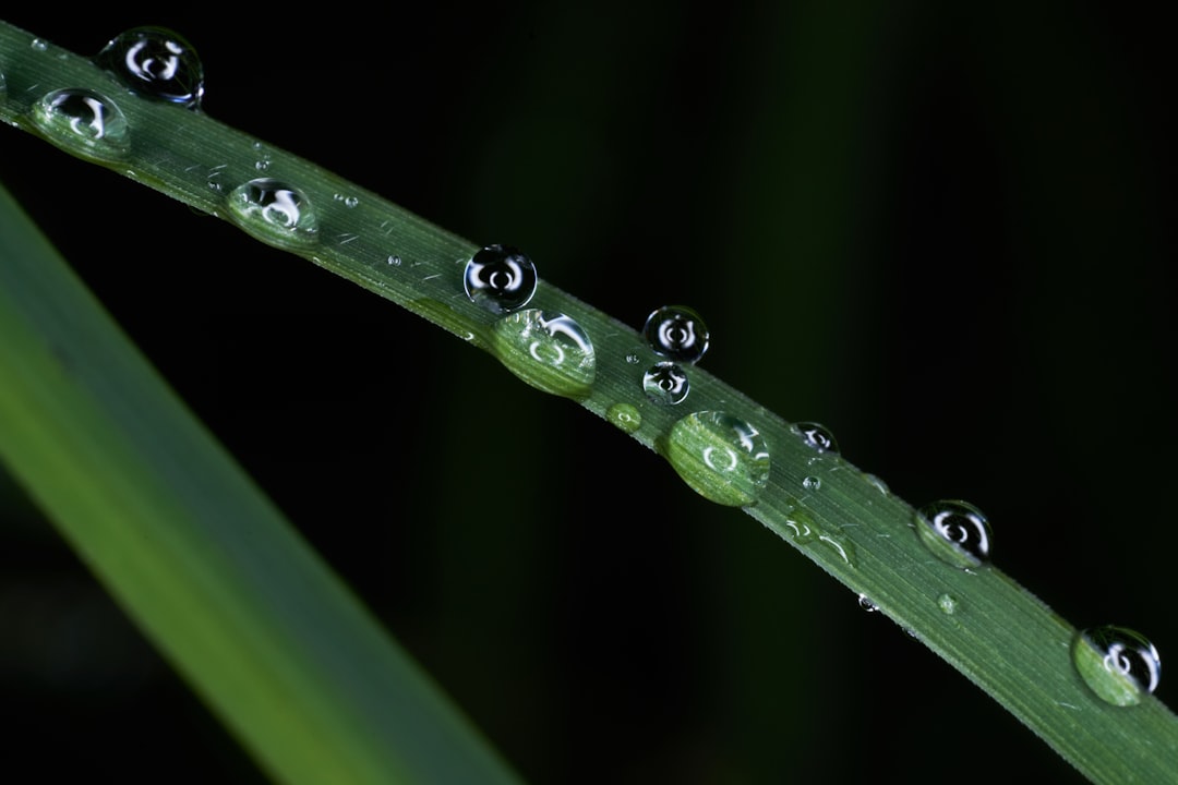 Artificial tears
