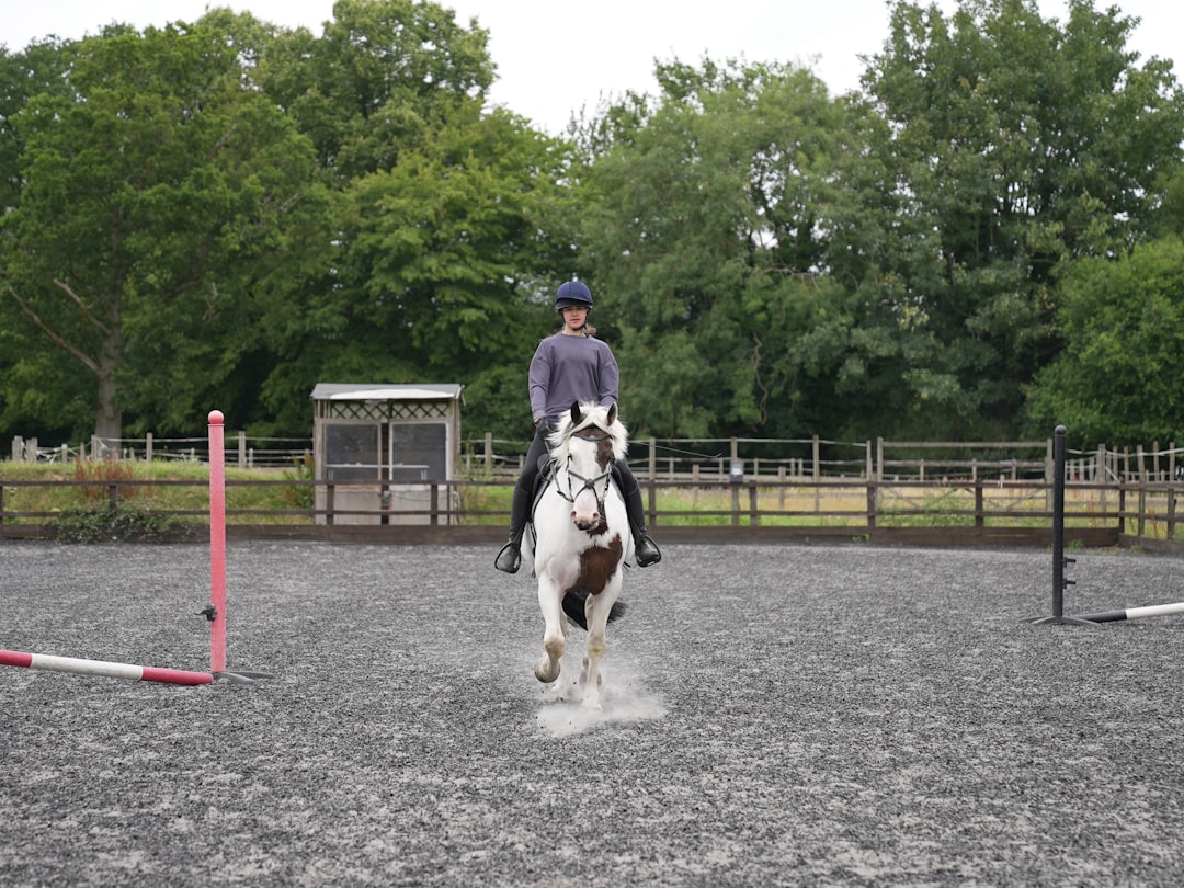 Trot