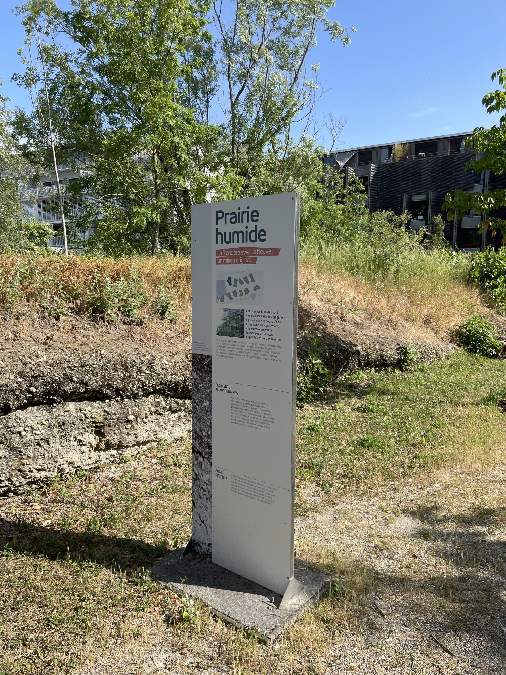 보르도 식물원 -1. 젖은 초원2