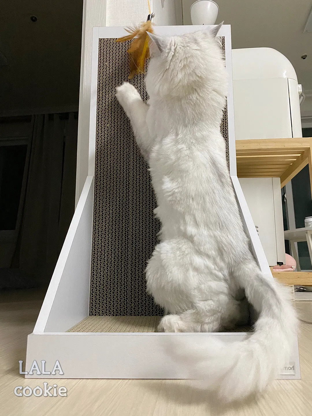 고양이-스크래쳐-추천-수직형