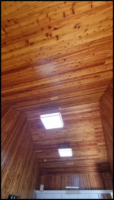 축령산자연휴양림-까치-높은천장