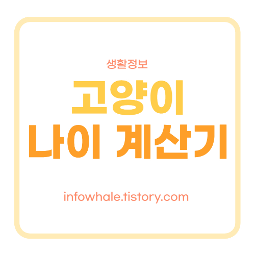 고양이 나이 계산기