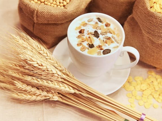 영양 가득한 귀리