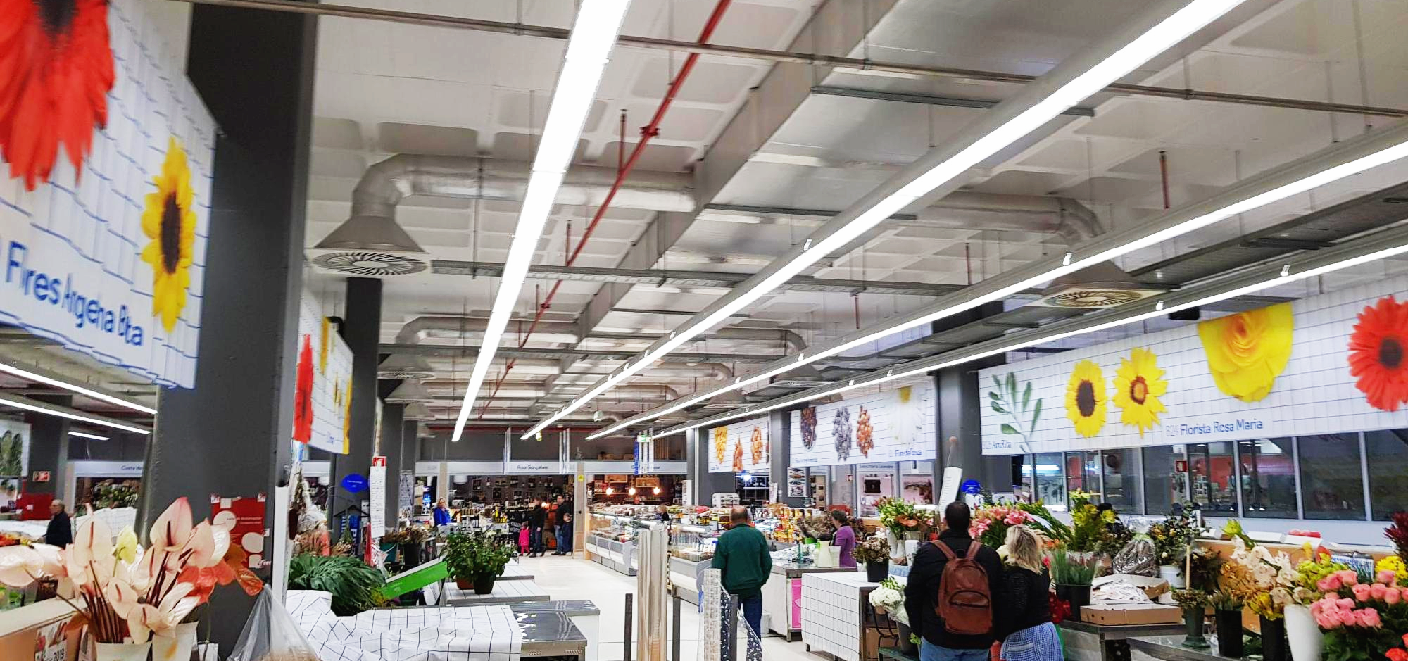 포르투갈 포르토 볼량시장 화훼단지