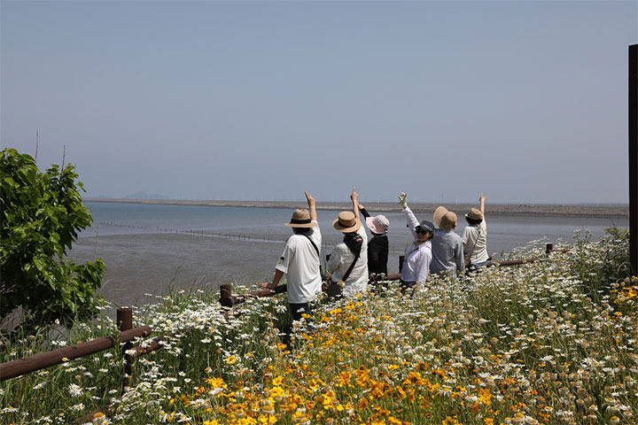 부안 변산마실길 2코스, 데이지꽃과 함께 걷는 힐링 산책길