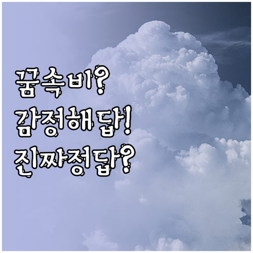 꿈에서 비를 맞을 때 느낀 감정이 진..