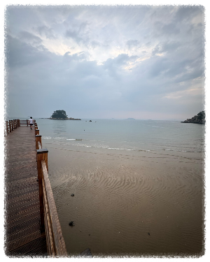 신두리해수욕장