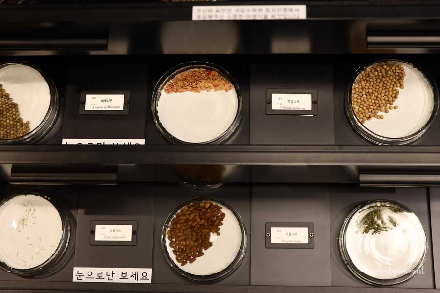 서울식물원 완벽 가이드: 씨앗도서관