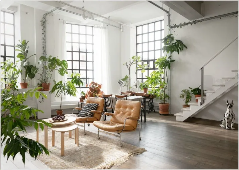 플랜테리어 거실 식물배치 물주기 습도관리 초보 인테리어 팁_7